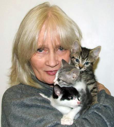 Celia Hammond cat rescue